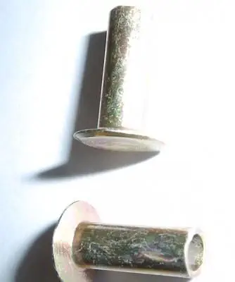 Klinknagel Voor DAF 10-10
