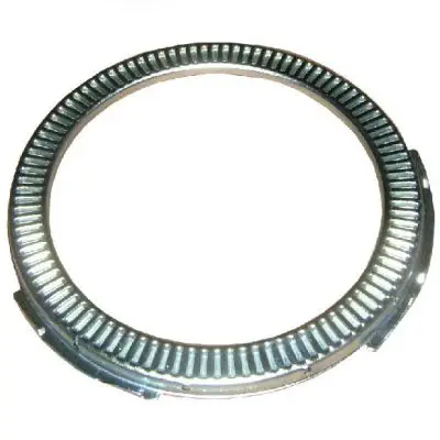 Abs Poolring BPW Ecoplus 100 Tanden
