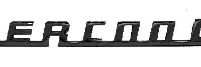 Embleem Intercooler 30cm Lang 4mm Dik RVS