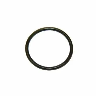 O-ring Tbv Rangeerklep