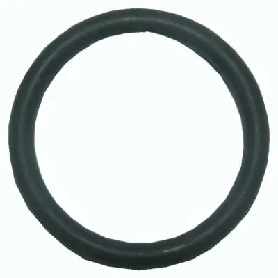 O-ring Tbv Rangeerklep